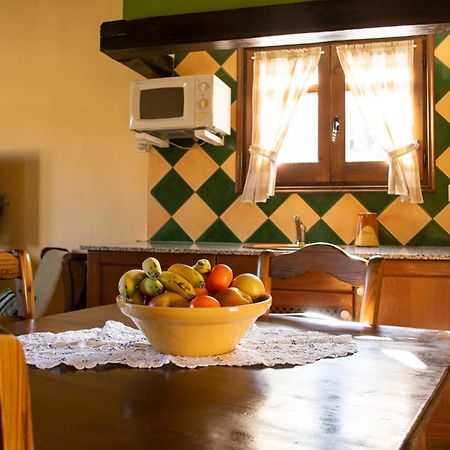 Cal Carulla Guest House L'Astor Bagian luar foto